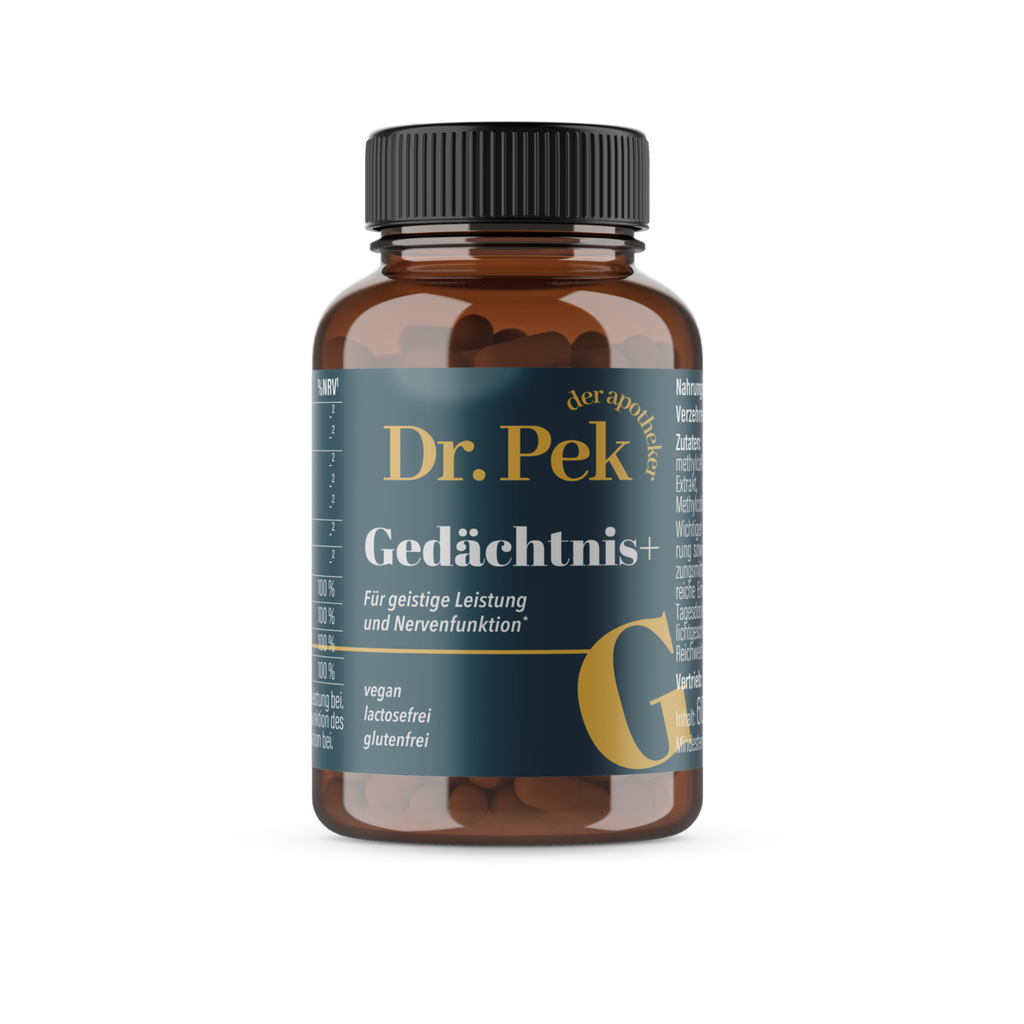 Gedächtnis+